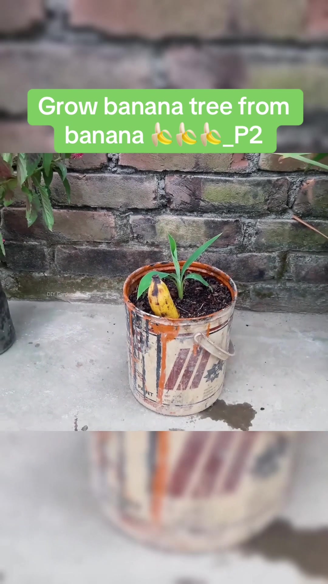 @DIY GARDEN