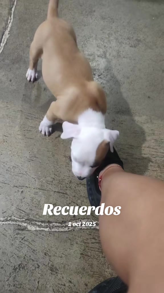 @Jane Salazar