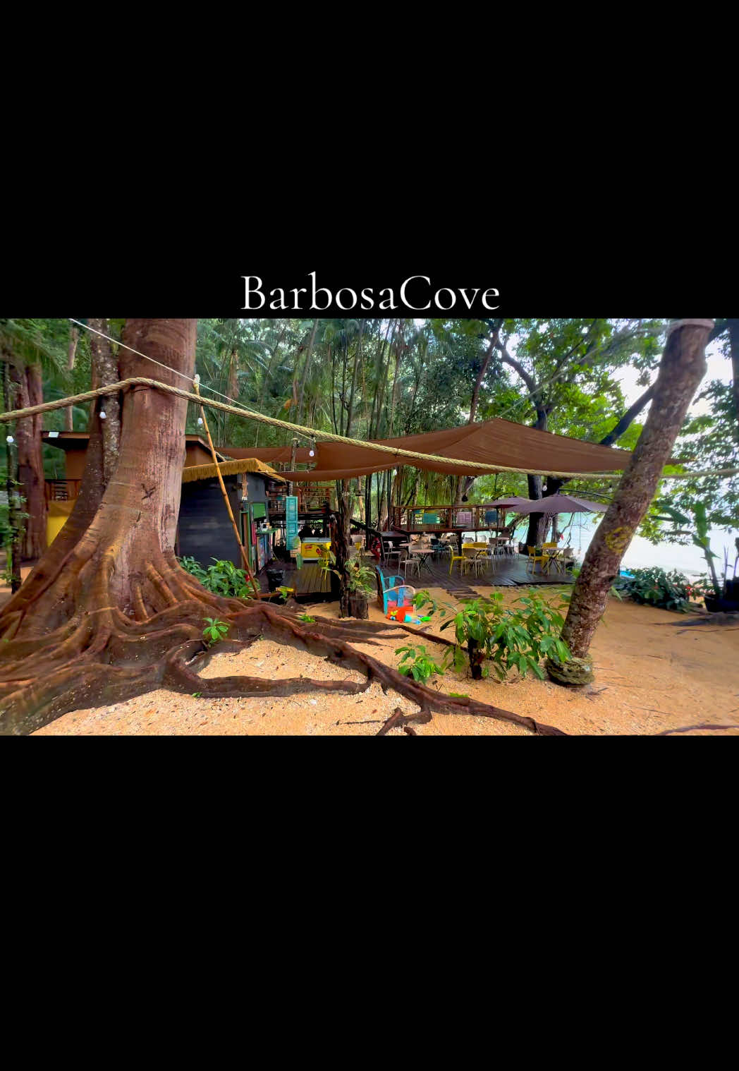 @barbosacove