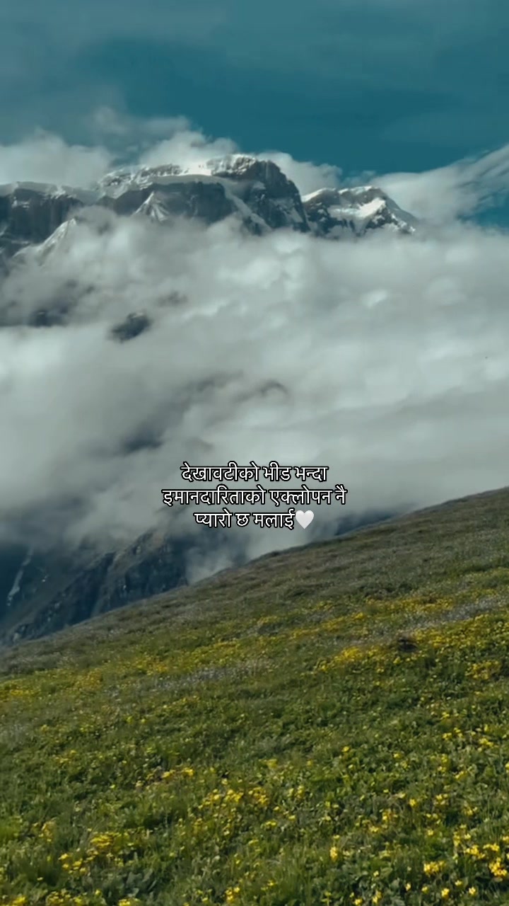 @🌷