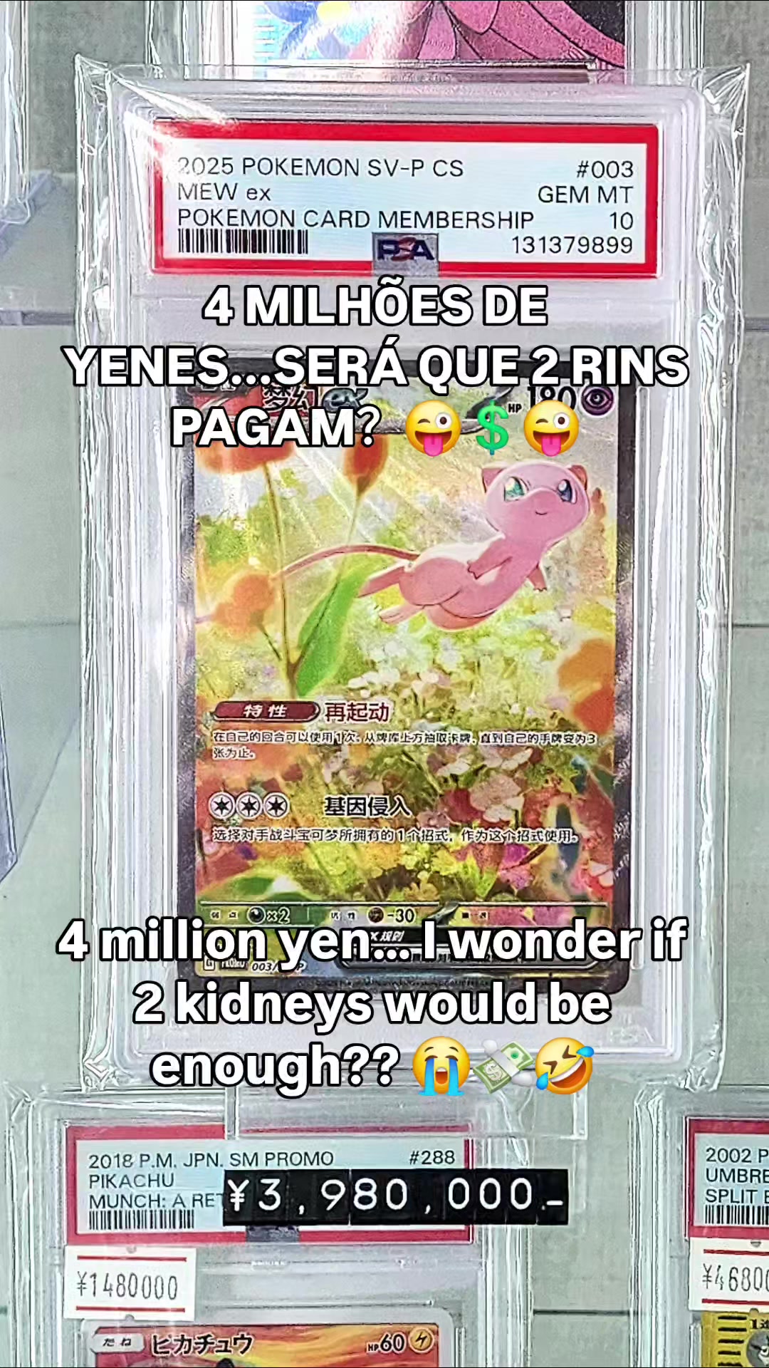 @SeekGodPacks
