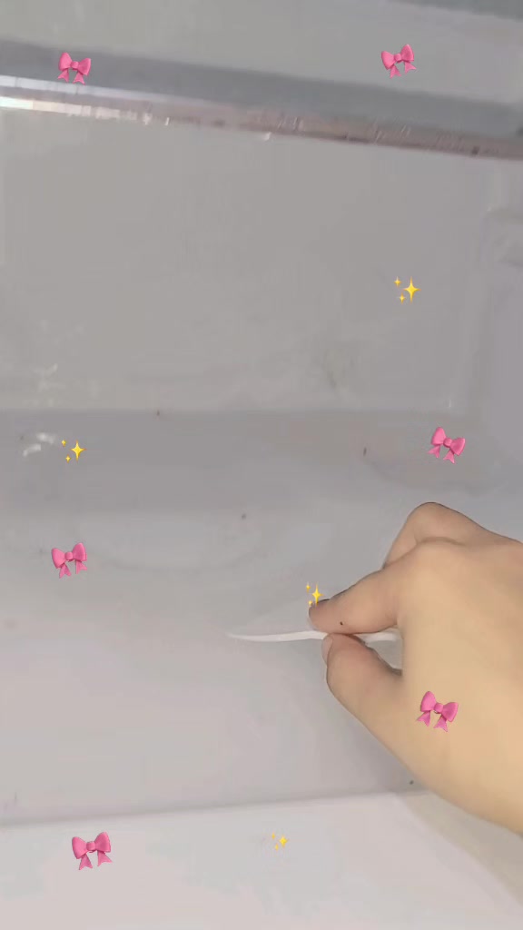 @༒𝐂𝐢𝐧𝐝𝐞𝐫𝐞𝐥𝐥𝐚༒