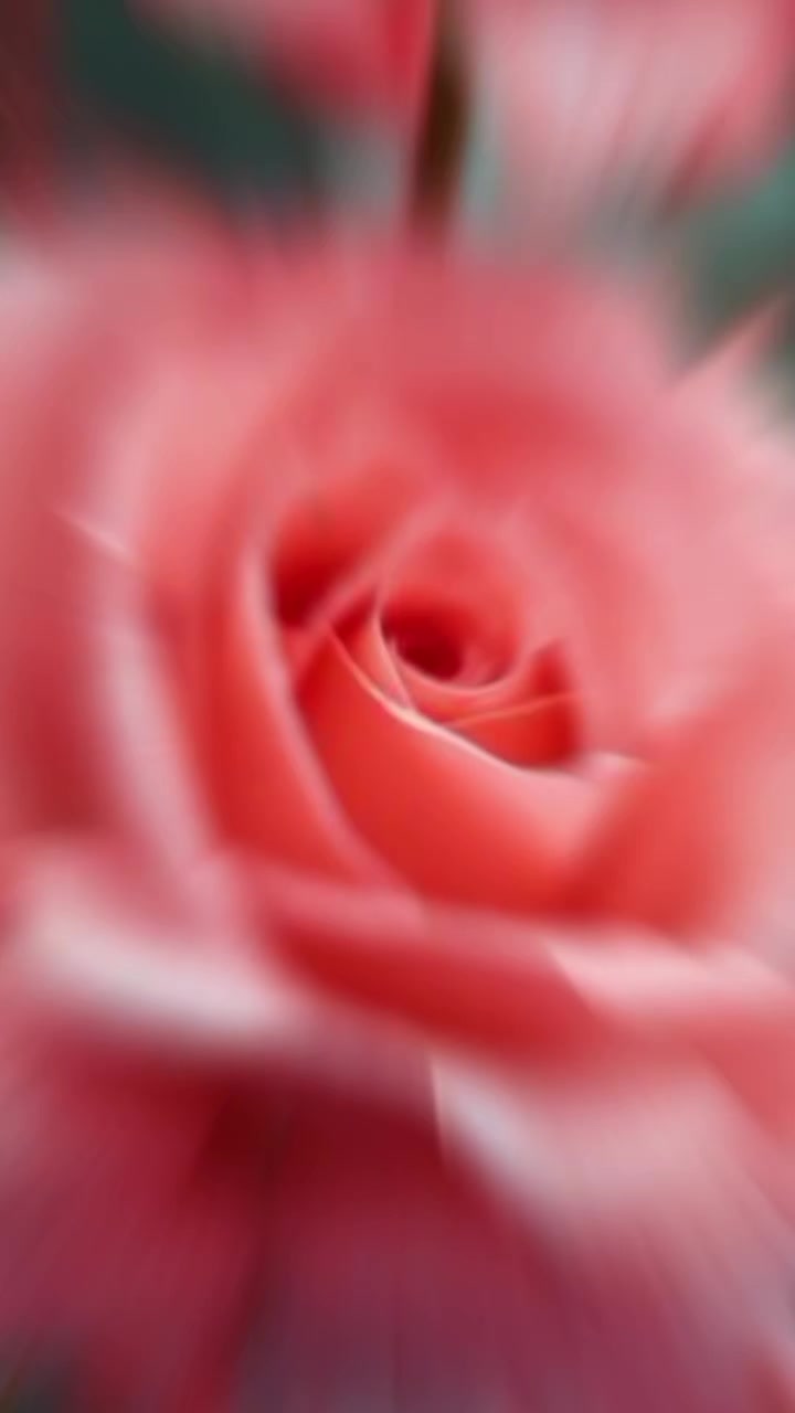 @@sunita