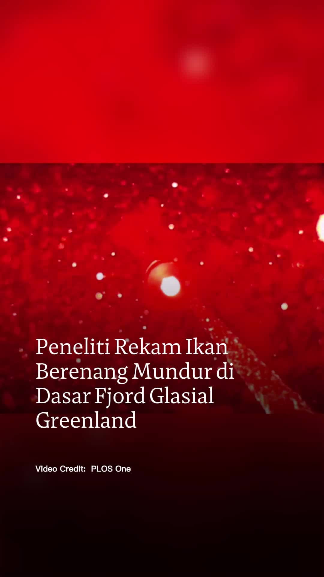 @mongabayindonesia