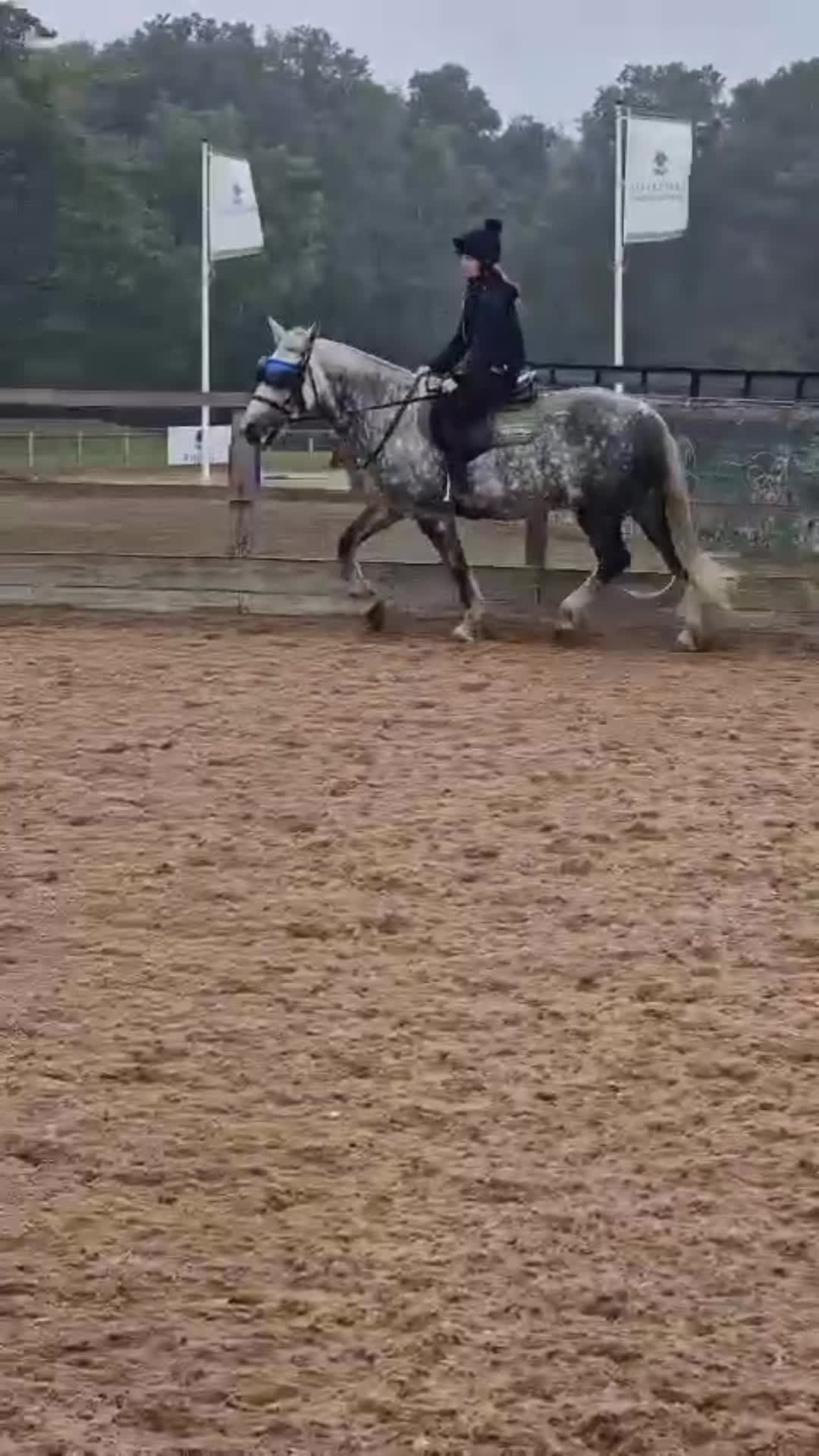 @Soph 🤍🐴