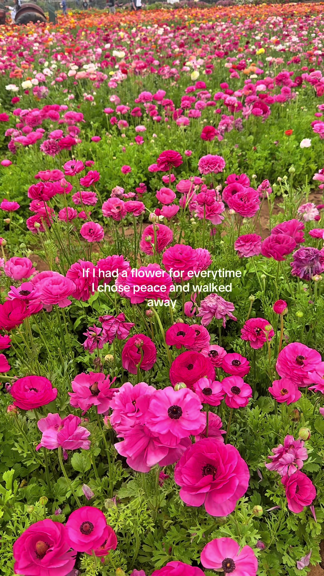 @𝓘𝓵𝓲𝓪𝓷𝓪 𝓜𝓪𝓻𝓲𝓮