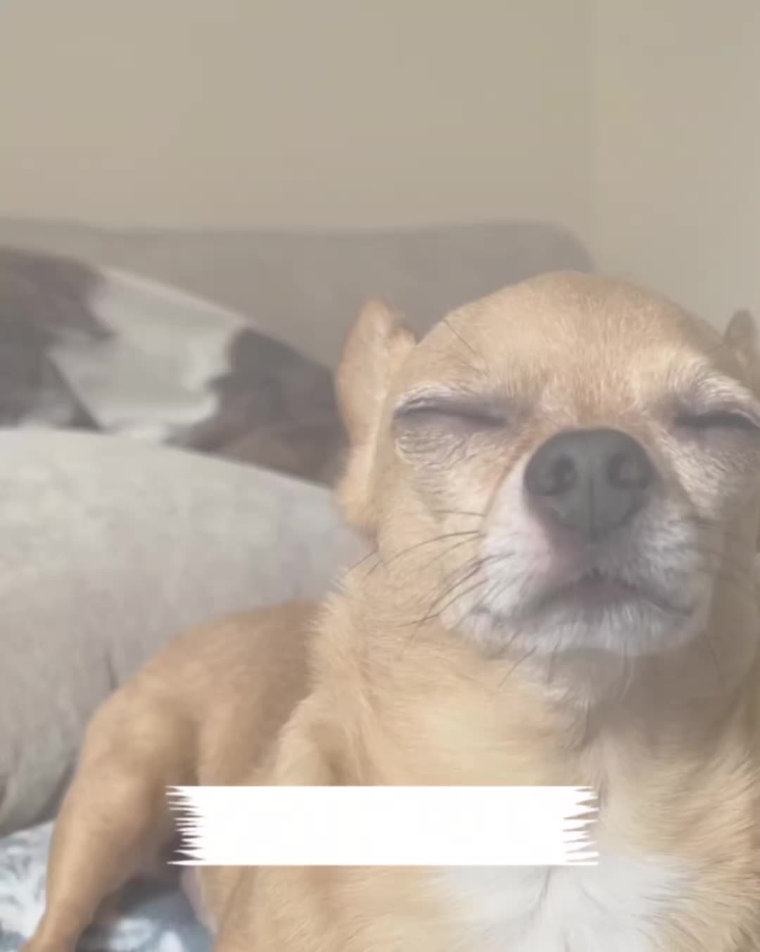 @My funny video