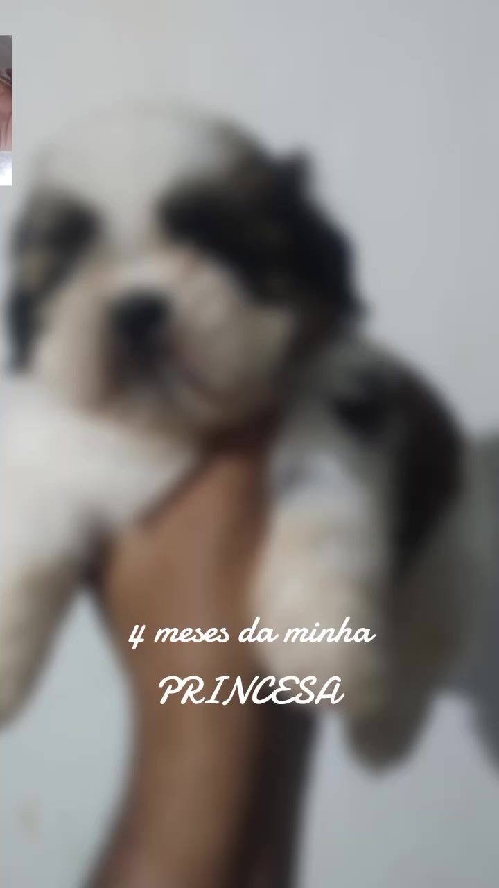 @Princesa