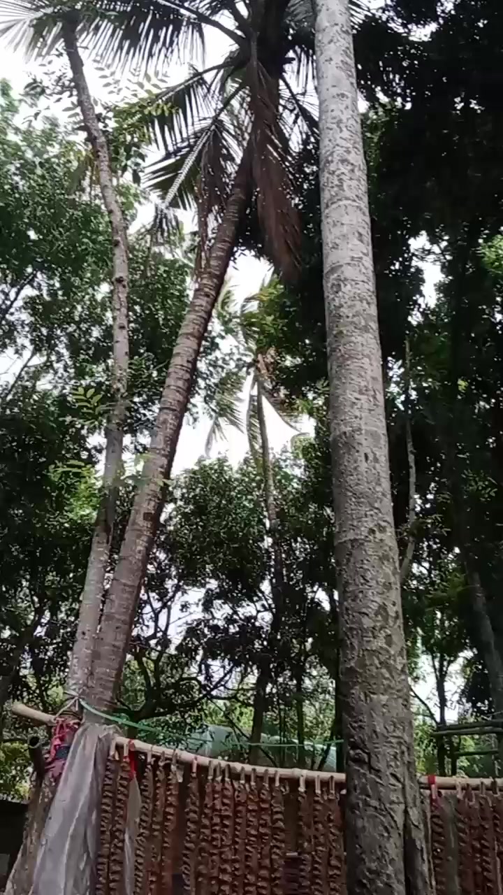@💥🤣🤣🖕খারারা ফানি টিম 💥🤣🤣