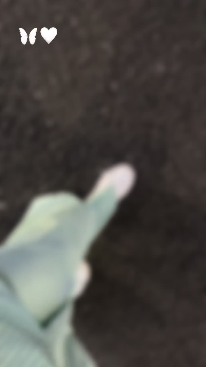 @Nedjla….🐆 نجلاا 💎