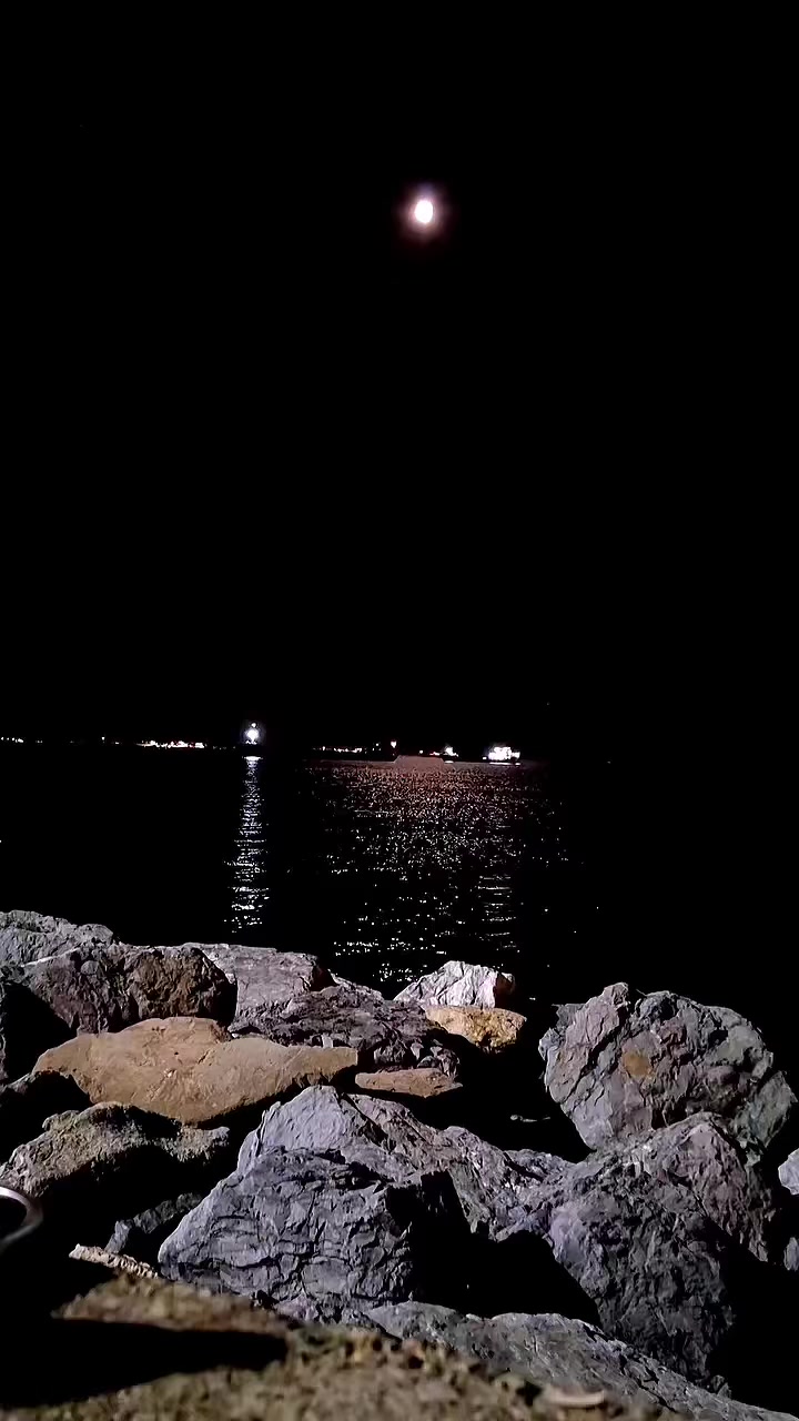 @Muratcan Gündoğdu