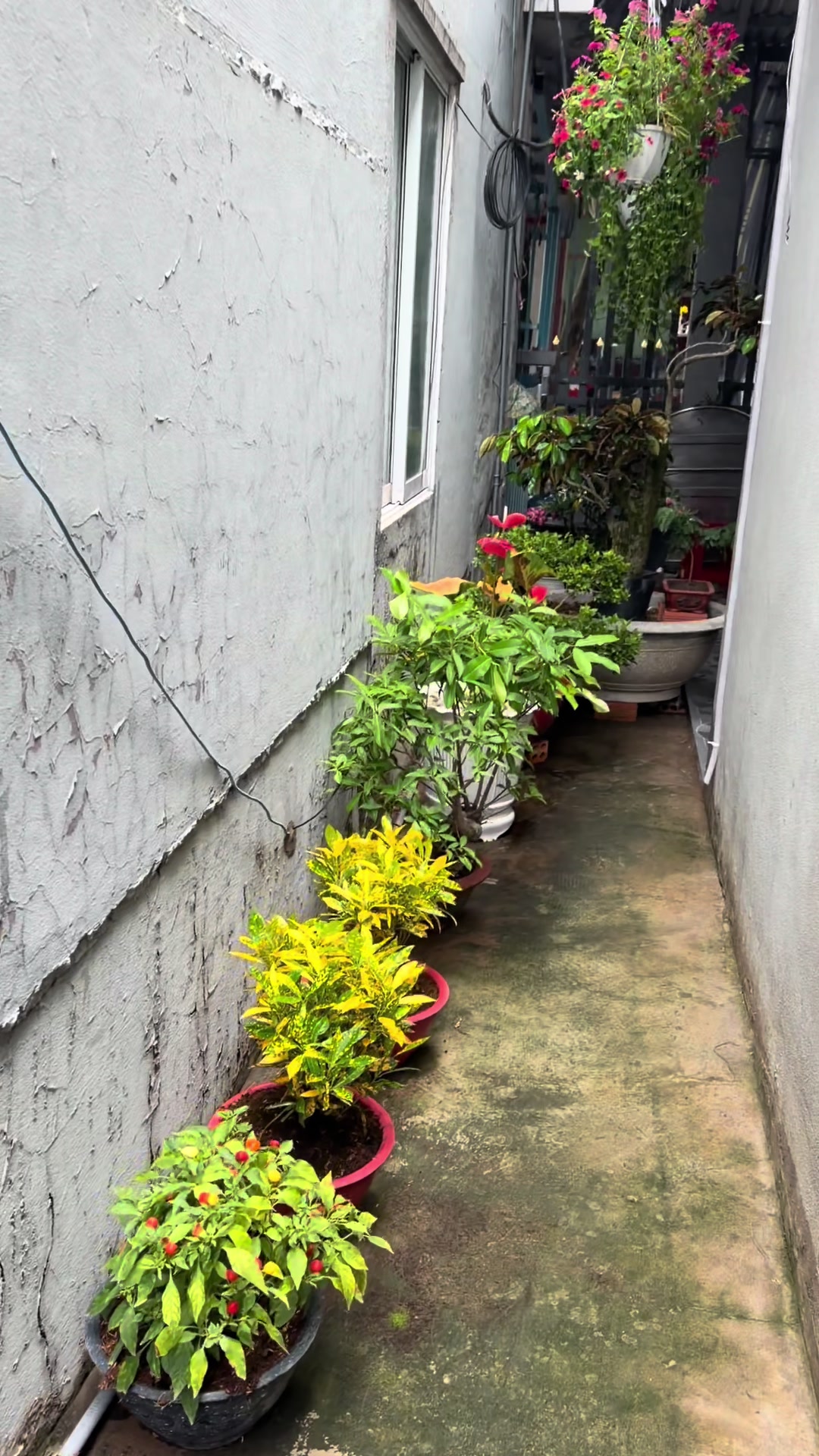 @HỚT TÓC NAM THẢO NGUYÊN Q4