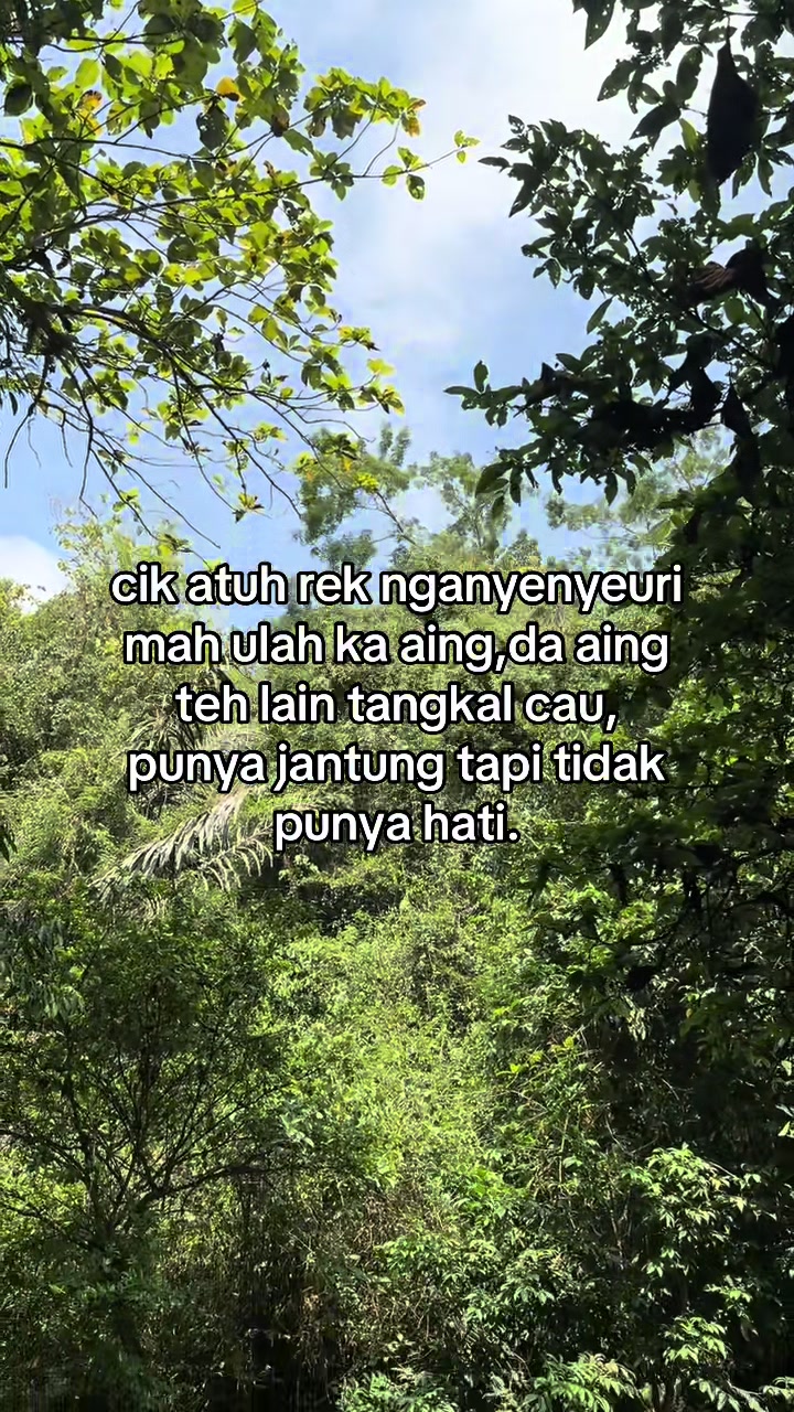 @Citumang wonderful
