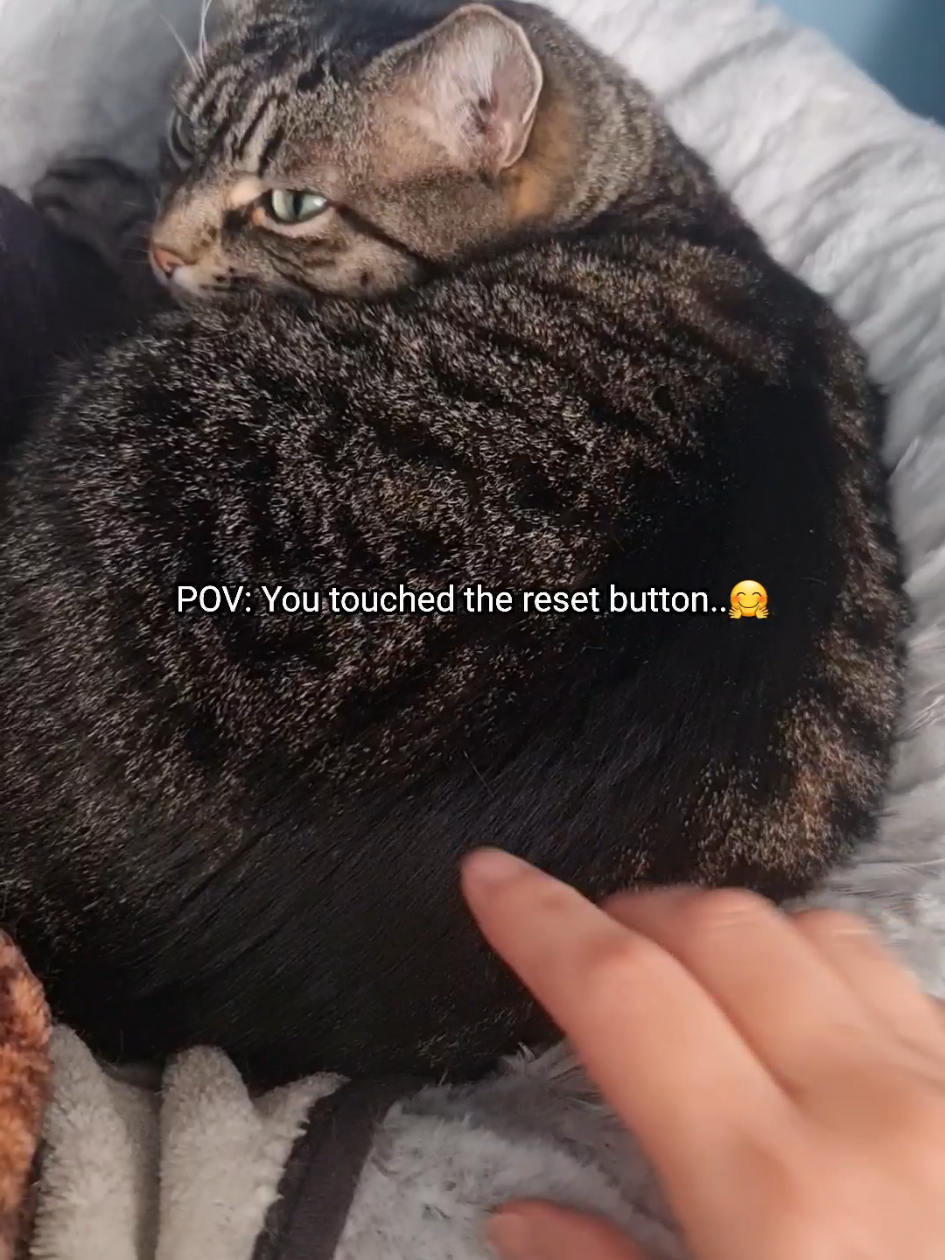 @PhoebeinWonder