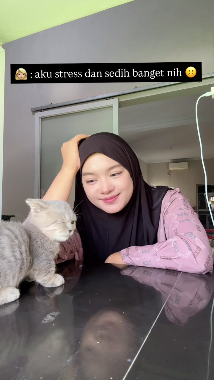 @FaenCattery