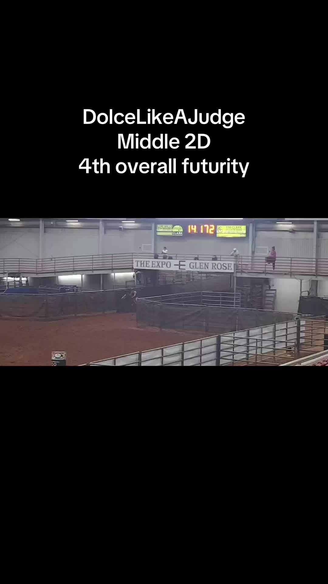 @TF Performance Horses