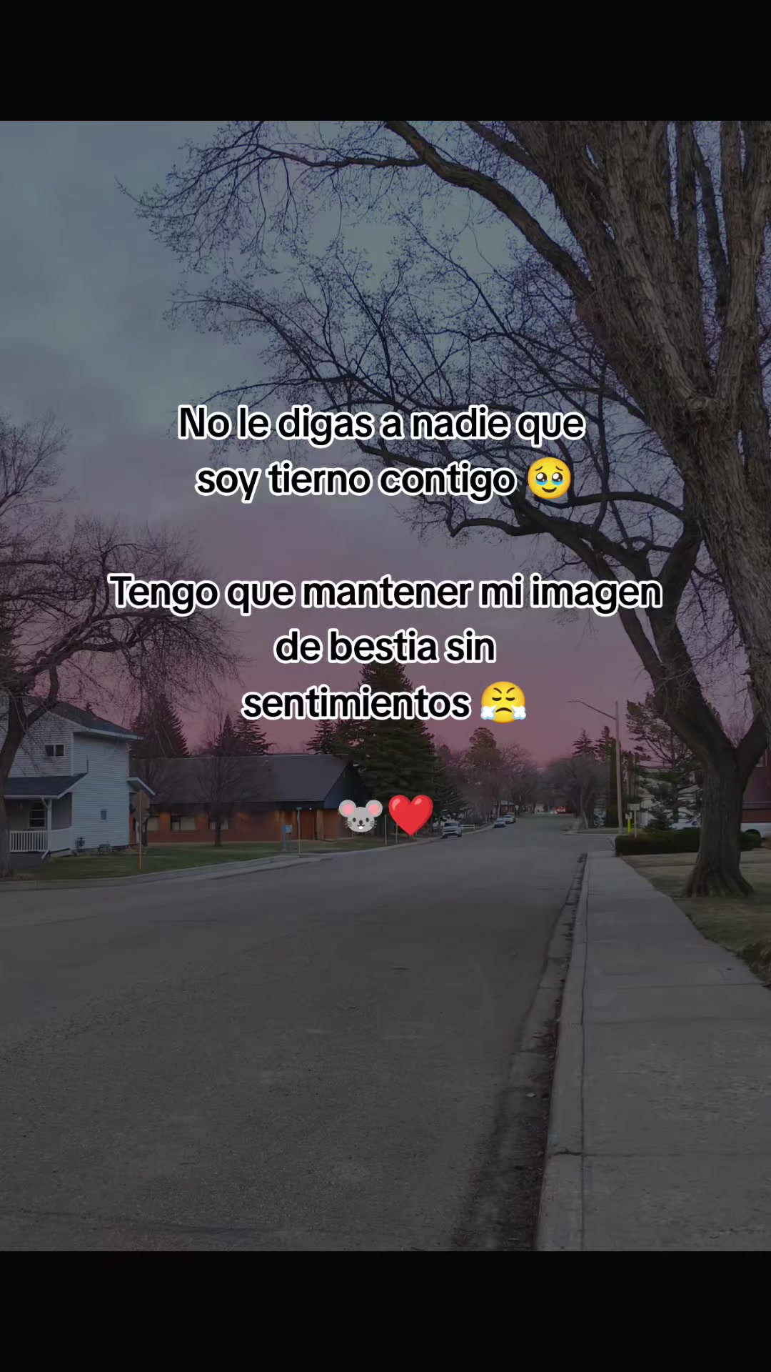 @incaparina_no.1