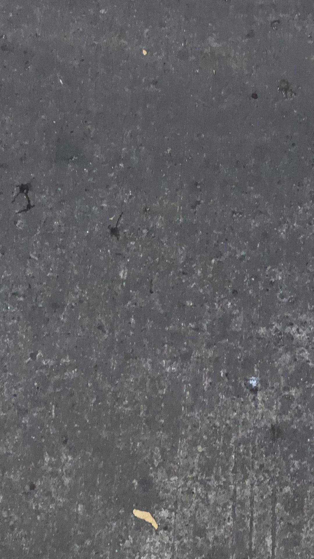 @xryyca_