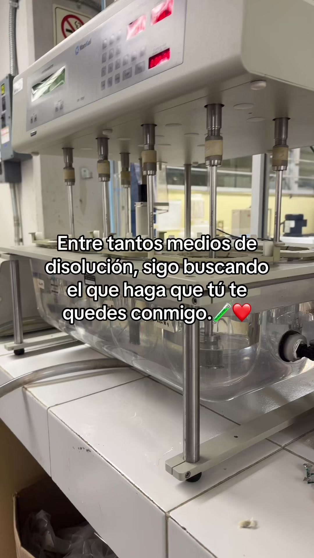 @yaelgutierrezz