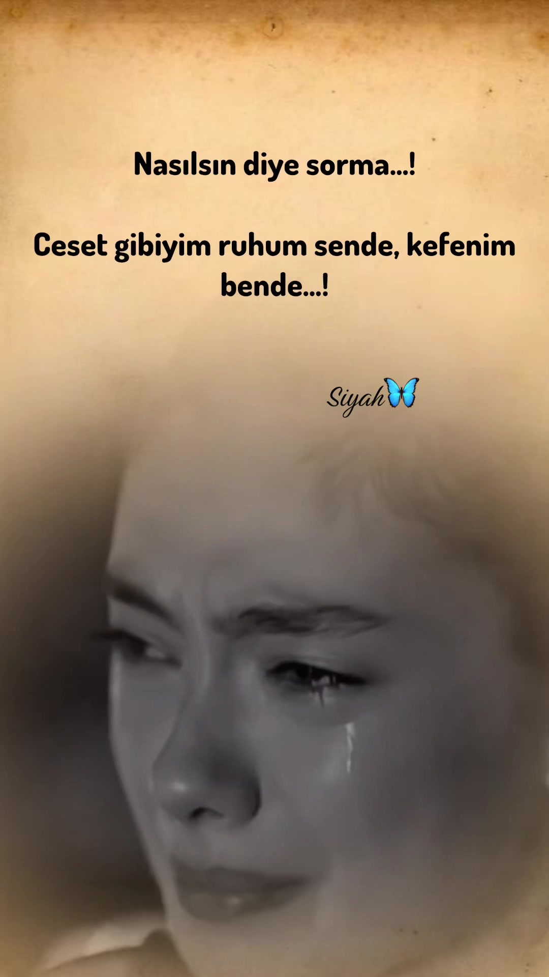 @𝗦𝗶𝘆𝗮𝗵🦋