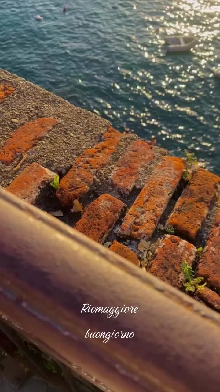 @Antonia Vecchi