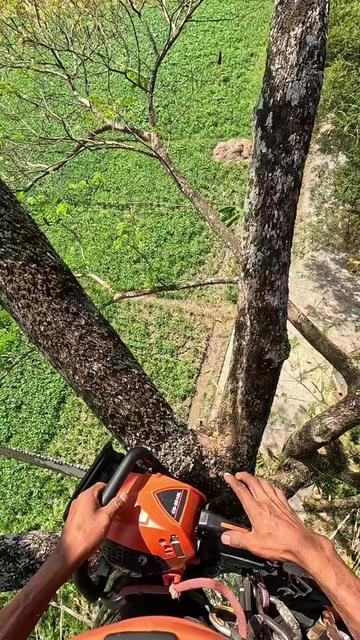 @Yulianto
