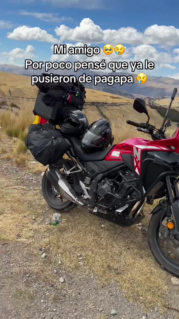 @David Abarca