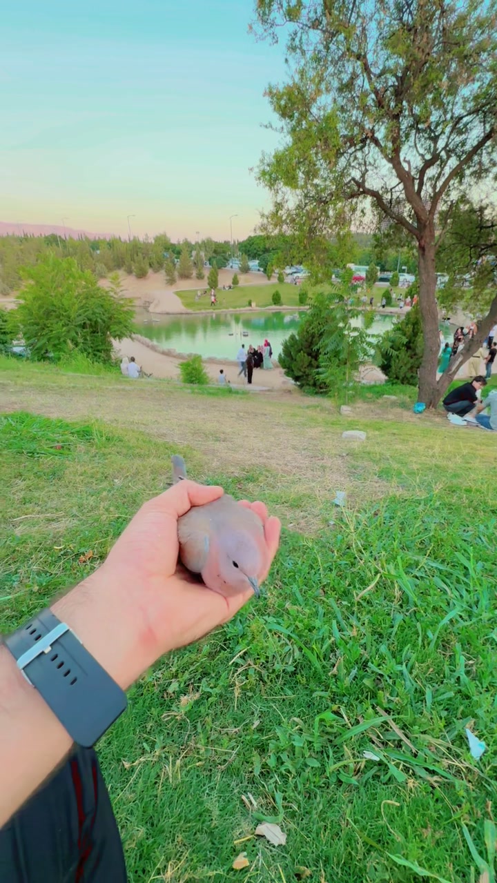 @Binar Dalak