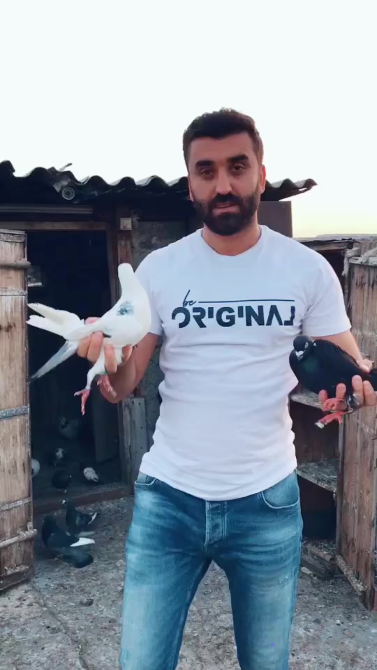 @mehmet.kabak01