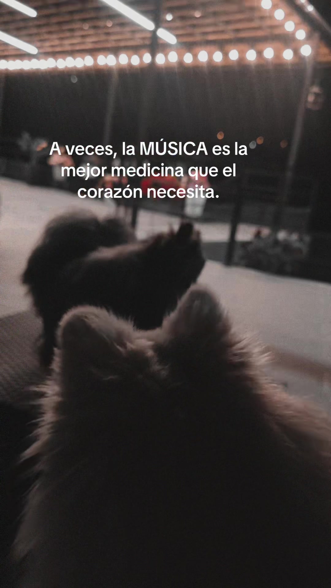 @Claudia