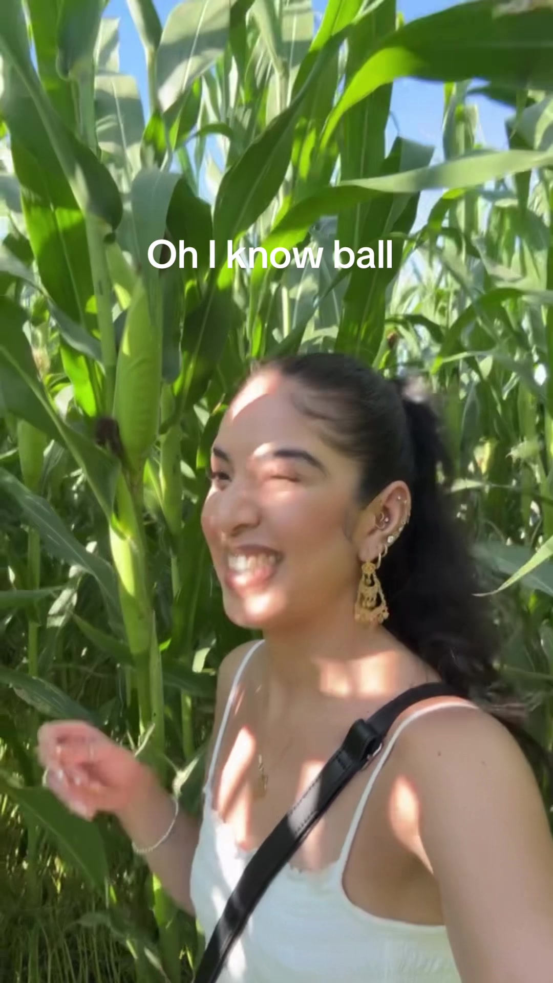 @Graciethegremlin 🧀