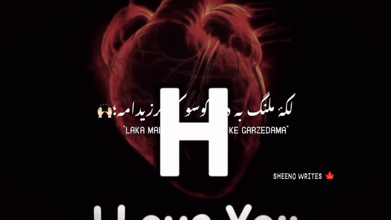 @&rdquo;🍁𝗦𝕋𝗔 𝗟𝔼𝗪𝗔ℕ𝗬 🍁&rdquo;
