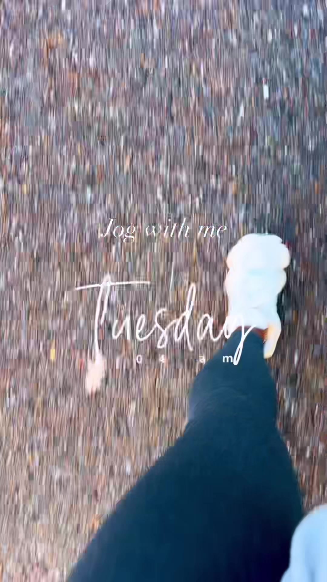 @Justcallmesusie9