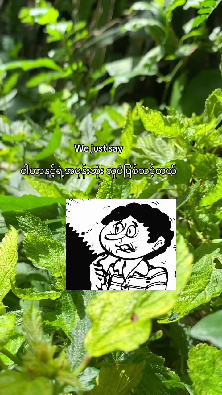 @“Sai”
