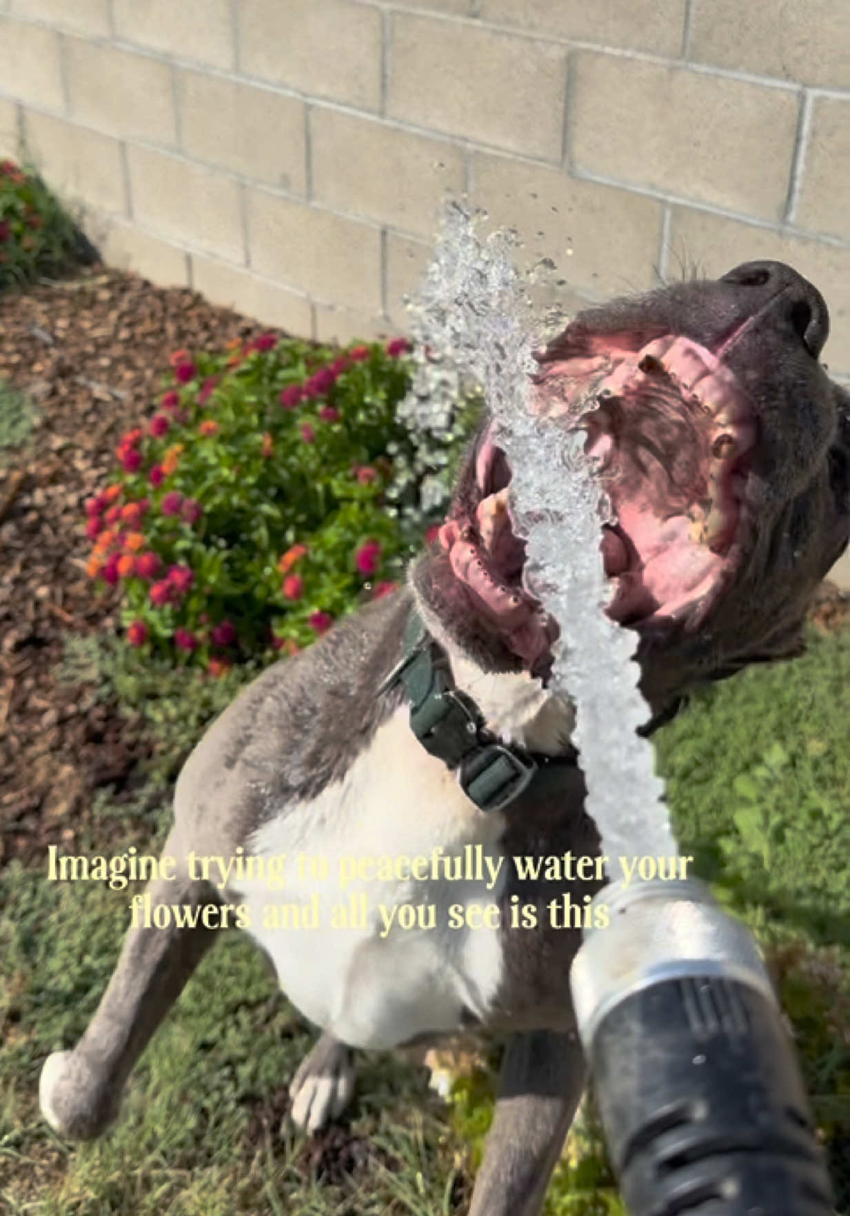 @Sam