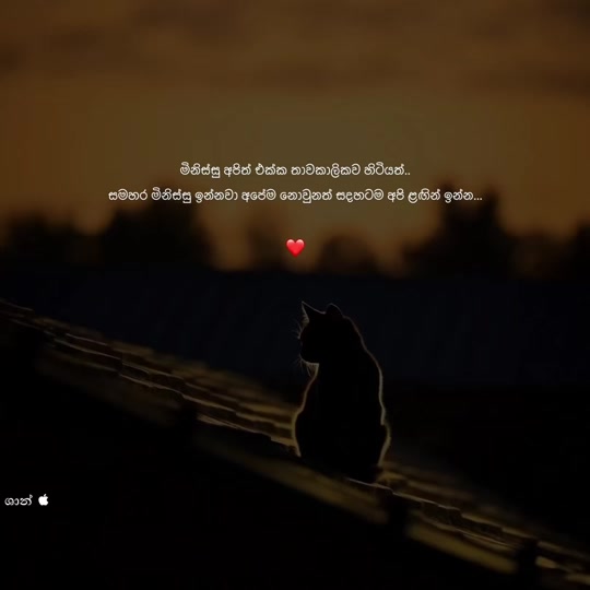 @𝑺𝑯𝑨𝑨𝑵 
