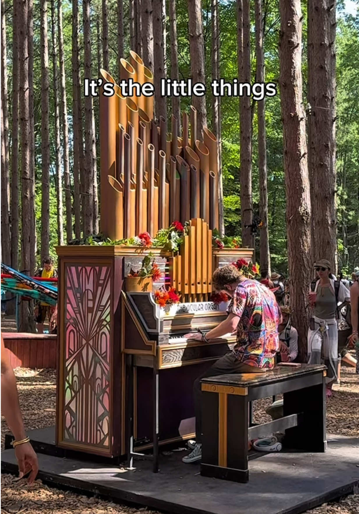 @Electric Forest