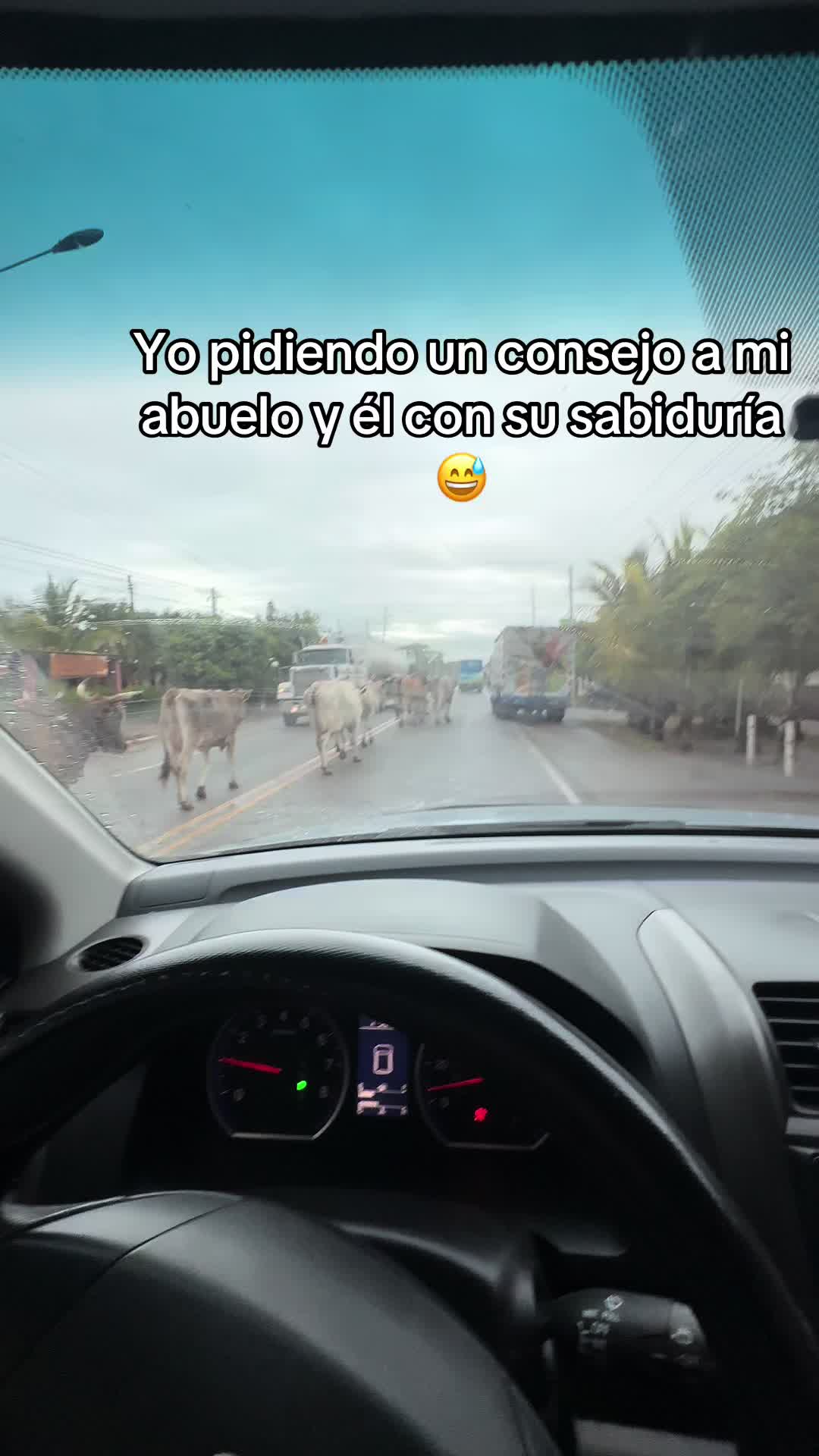 @I_am_lennin_oficial🐯