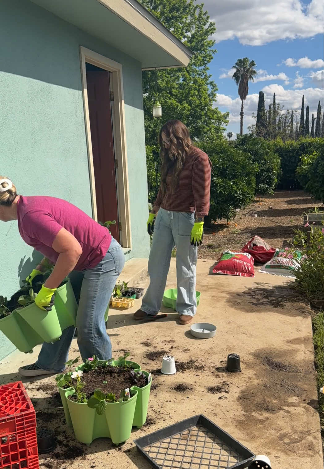 @Donna Sue 🌻 UGC creator 🛍️