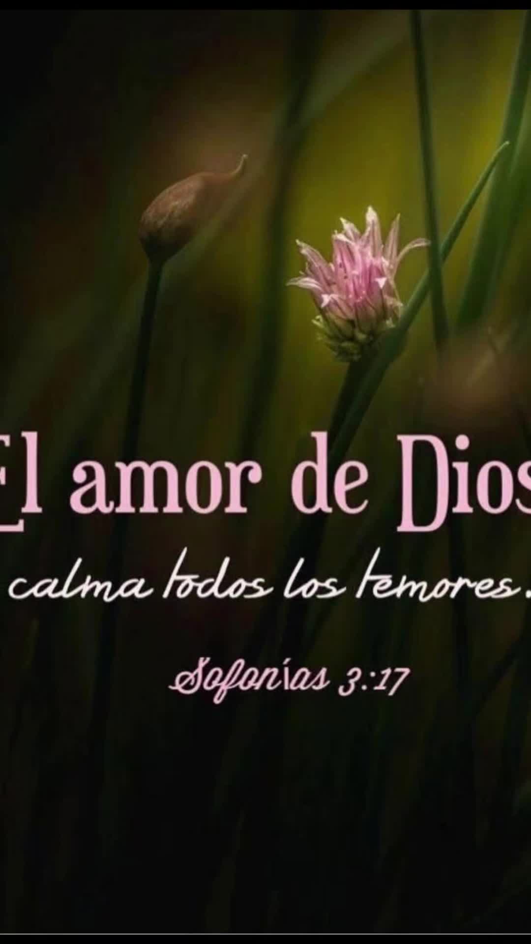 @marycordova