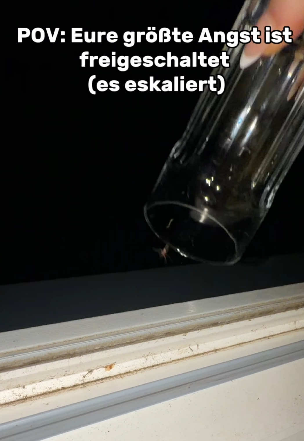 @𝐭𝐨𝐧𝐢