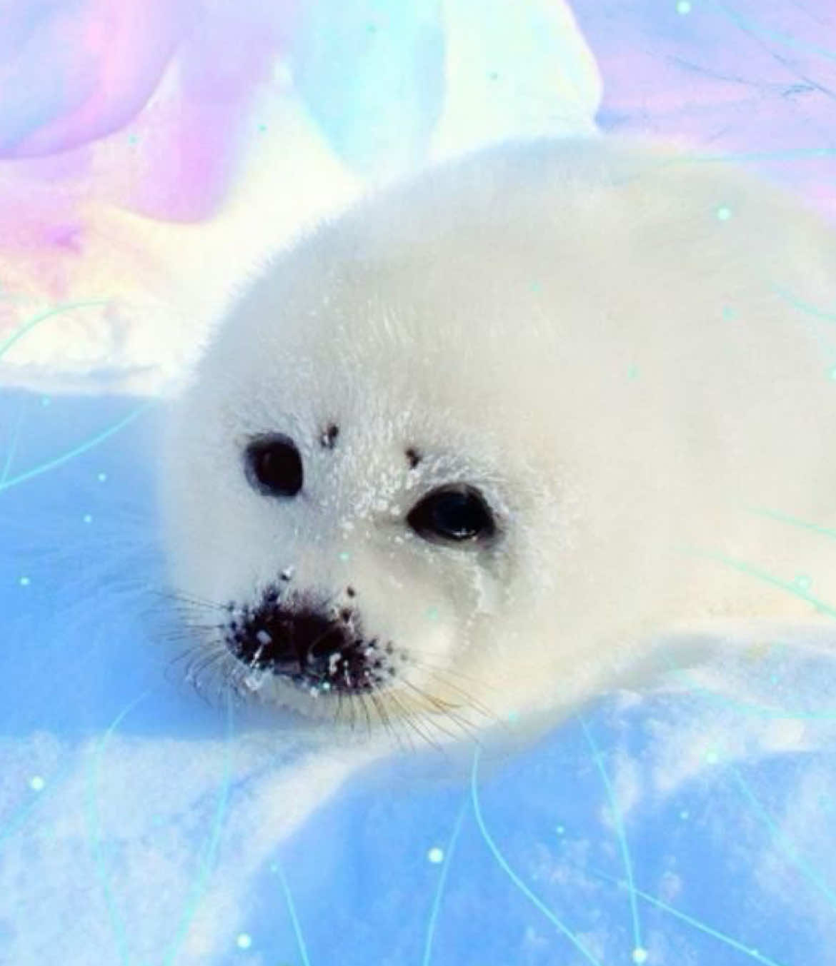 @otakuseal