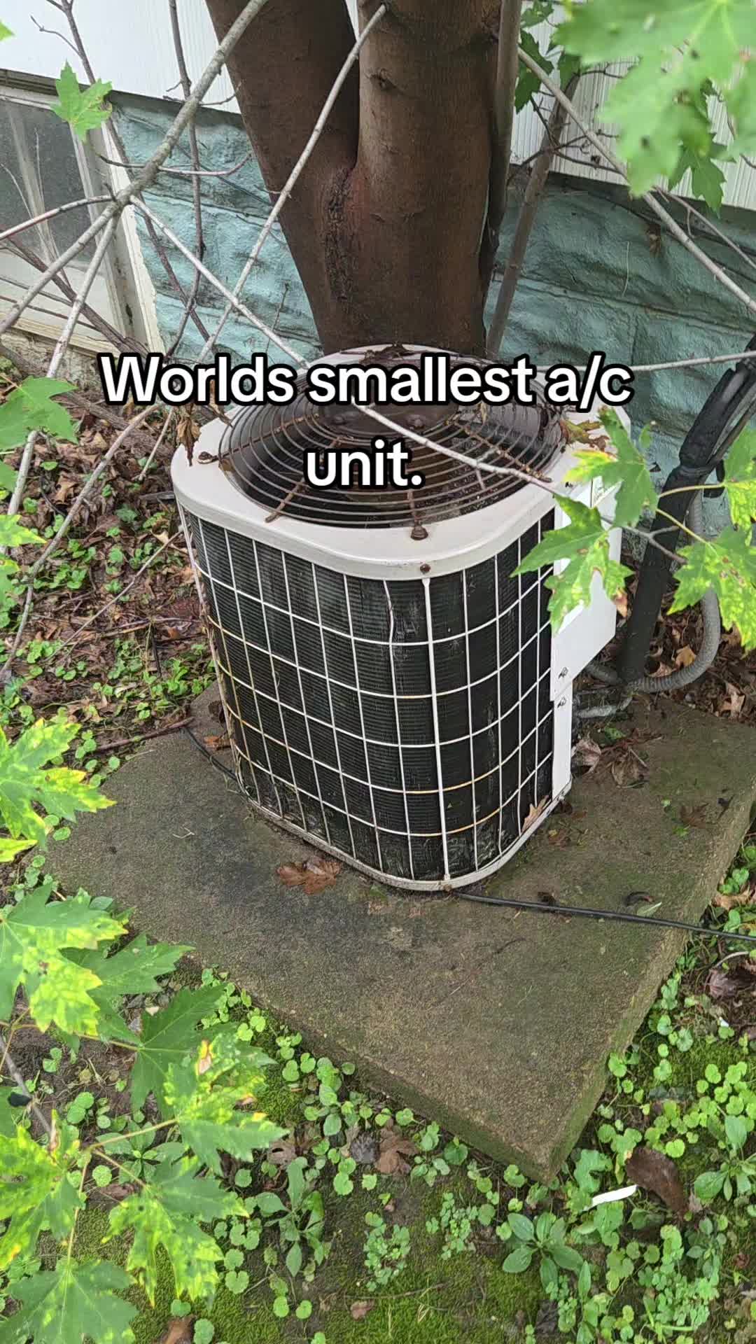 @Ali