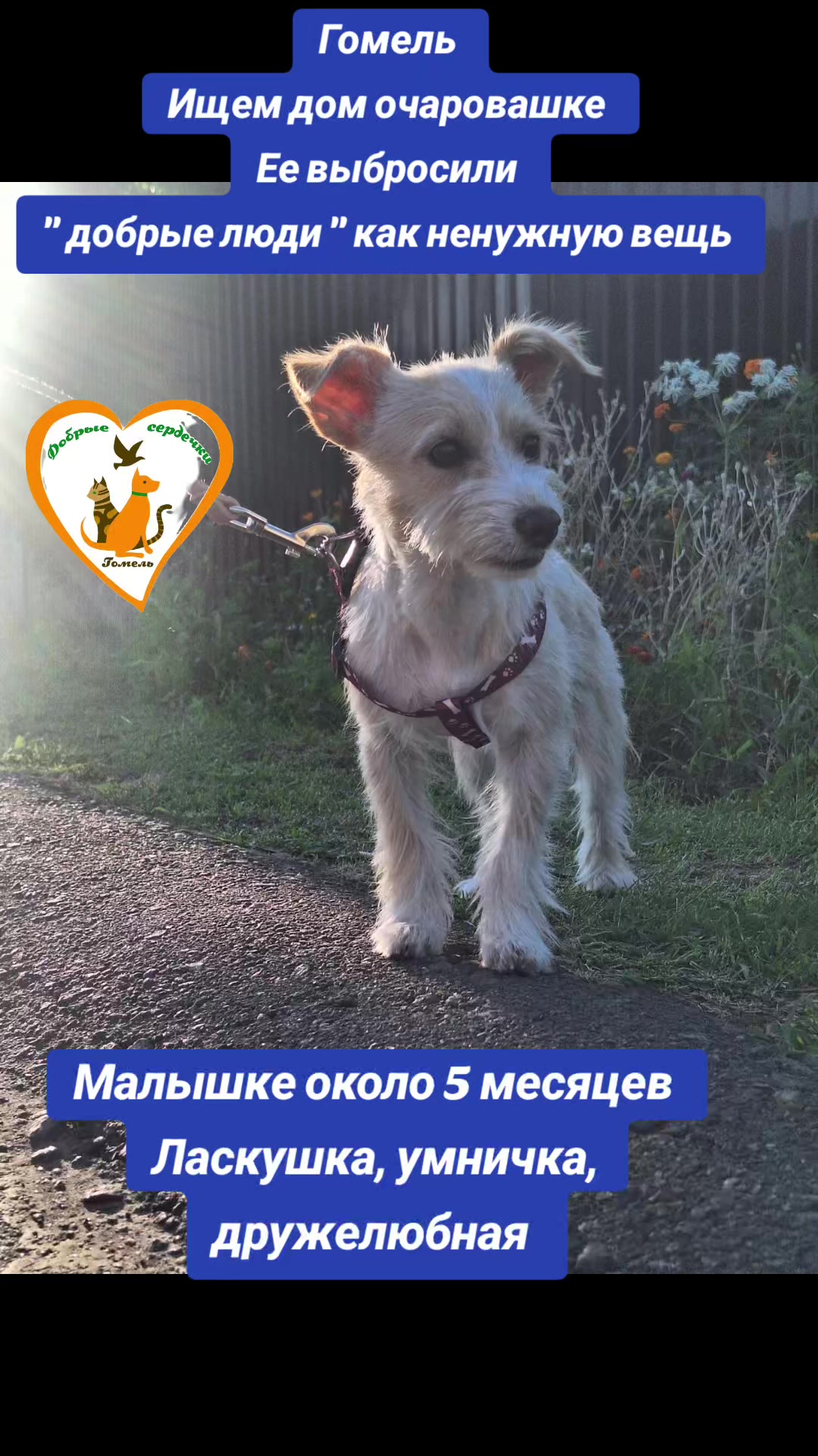 @Марина