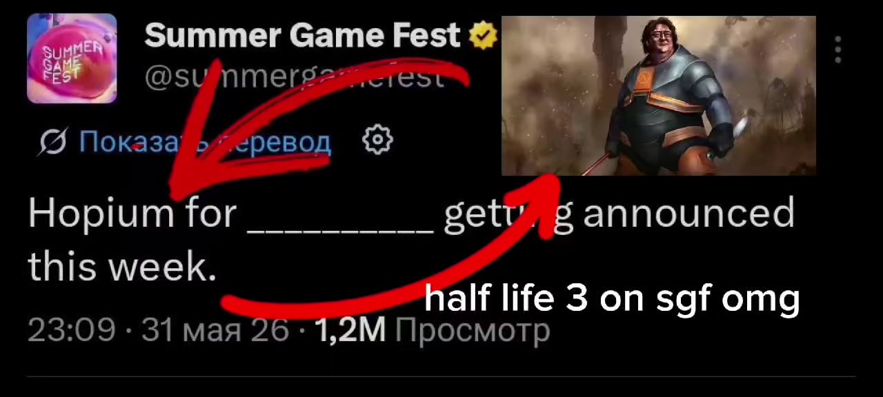 @gavz