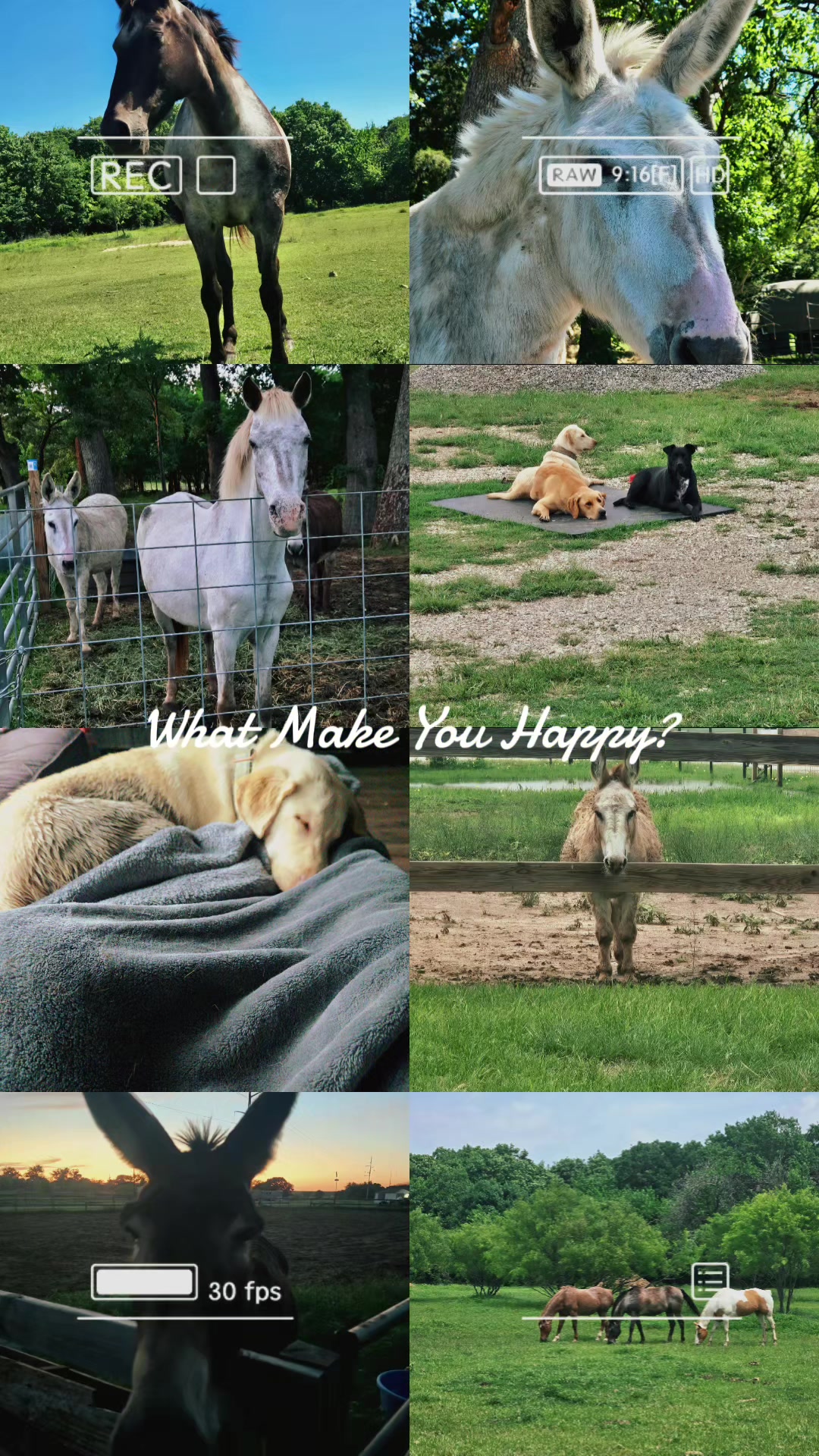 @Fonzy's Farm Rehab & Sanctuary