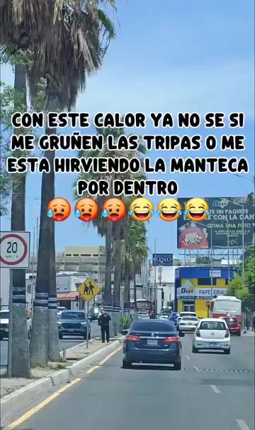 @luisfernandohcari