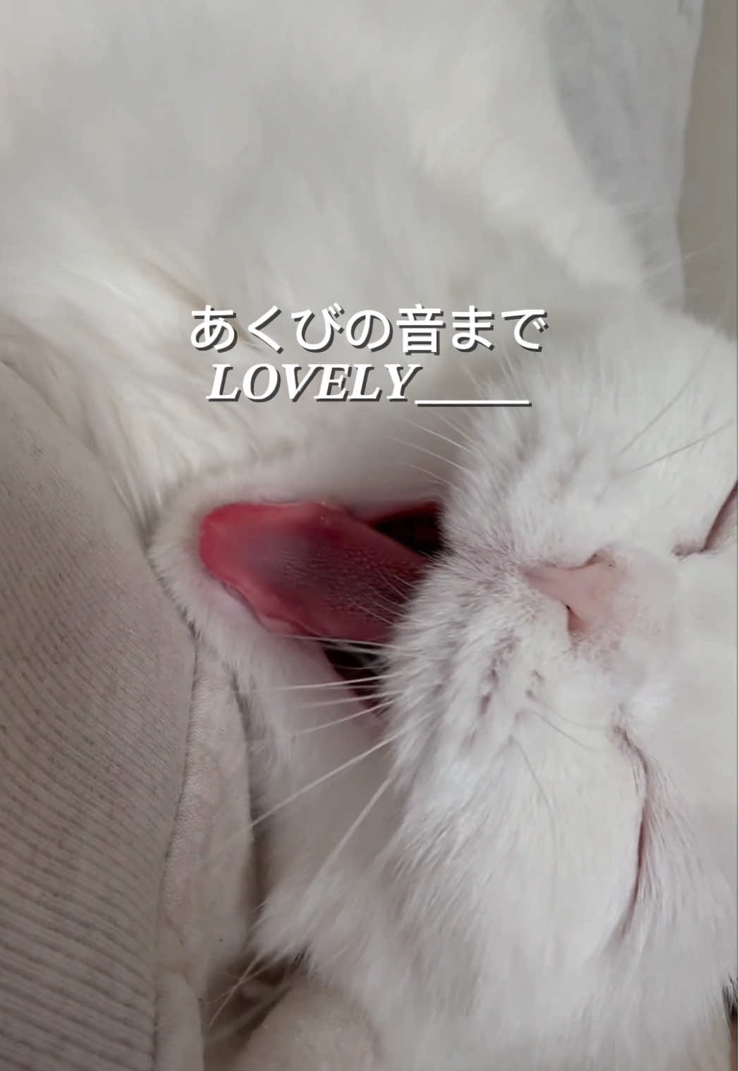 @もっちぬ