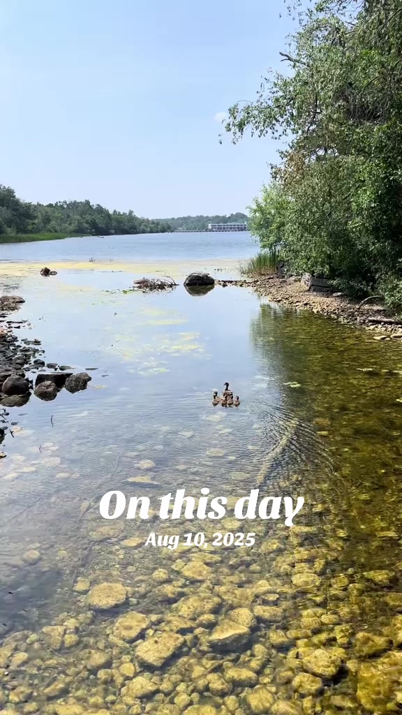 @Kannan@Toronto🇨🇦🍁