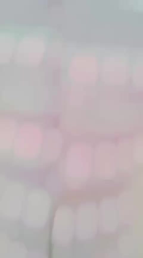 @Rana Arsal 05